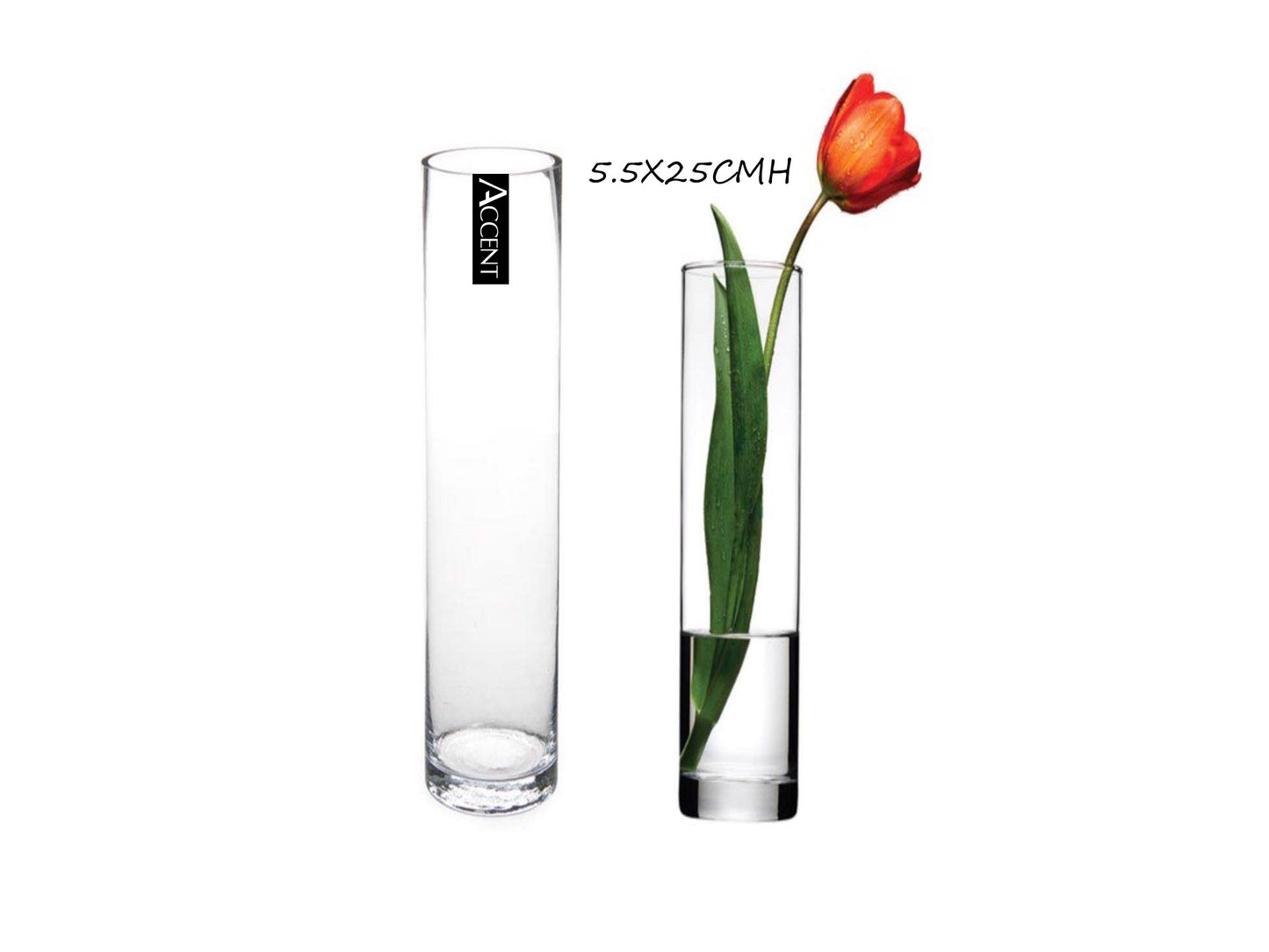 GLASS CYLINDER VASE 5.5X25cmH - NDO Party n Homeware