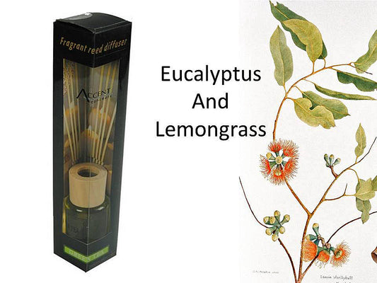 SCENTED OIL DIFFUSER LEMONGRASS EUCALYPTUS  INCLUDING 8 RATTAN STICK 50ml