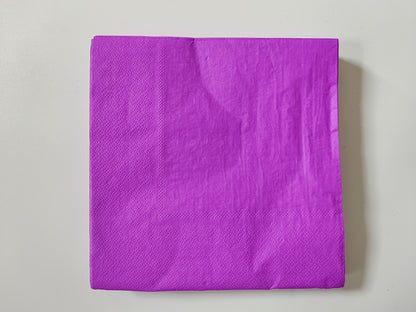 Paper Napkins 33x33cm 2Ply PK30