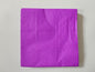 Paper Napkins 33x33cm 2Ply PK30