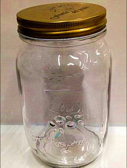 Jam Jar 1000ML